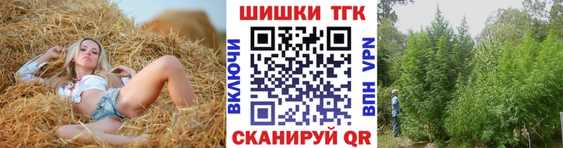 Каннабис сатива  закладки  Зеленокумск 